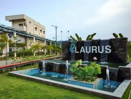 laurus lab