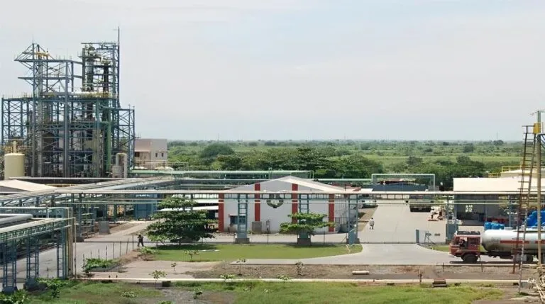 Balaji Amines Ltd. – Bullish & Bearish Analysis